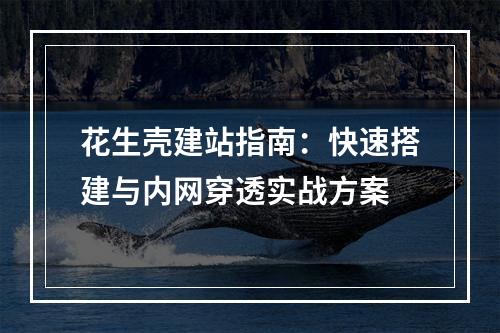 花生壳建站指南：快速搭建与内网穿透实战方案