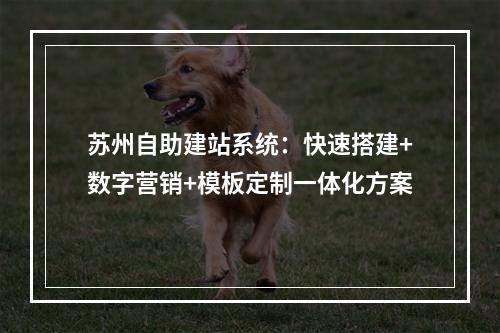 苏州自助建站系统：快速搭建+数字营销+模板定制一体化方案