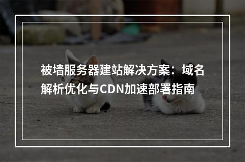 被墙服务器建站解决方案：域名解析优化与CDN加速部署指南