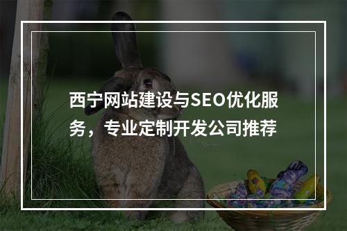 西宁网站建设与SEO优化服务，专业定制开发公司推荐