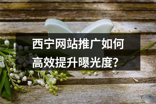 西宁网站推广如何高效提升曝光度？