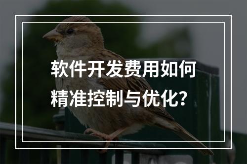 软件开发费用如何精准控制与优化？