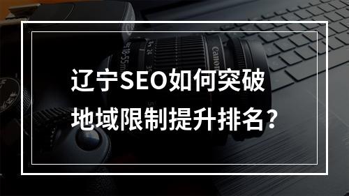 辽宁SEO如何突破地域限制提升排名？