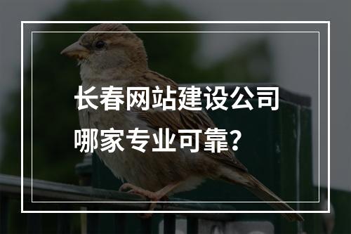 长春网站建设公司哪家专业可靠？