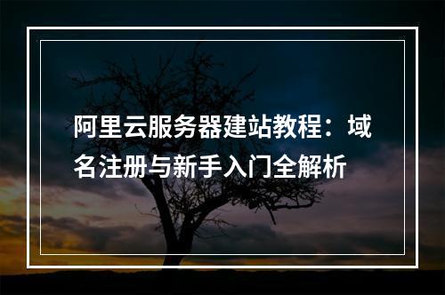阿里云服务器建站教程：域名注册与新手入门全解析