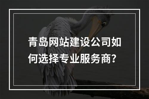 青岛网站建设公司如何选择专业服务商？