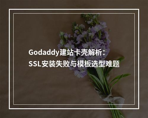 Godaddy建站卡壳解析：SSL安装失败与模板选型难题