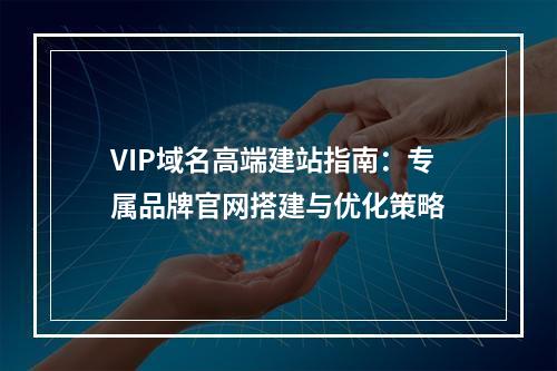 VIP域名高端建站指南：专属品牌官网搭建与优化策略