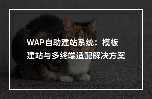WAP自助建站系统：模板建站与多终端适配解决方案