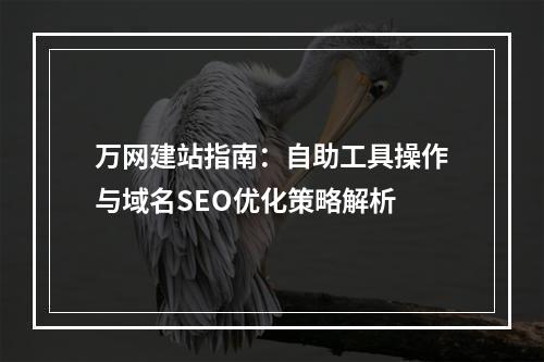 万网建站指南：自助工具操作与域名SEO优化策略解析