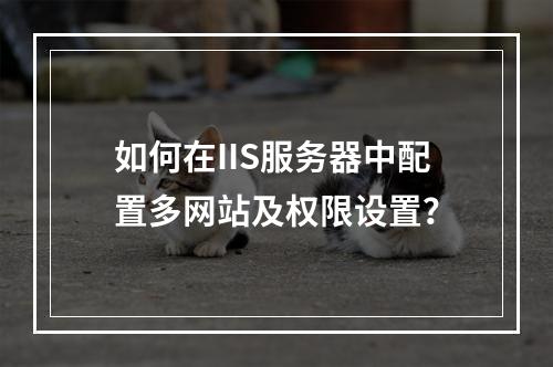 如何在IIS服务器中配置多网站及权限设置？