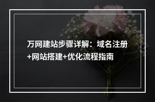 万网建站步骤详解：域名注册+网站搭建+优化流程指南