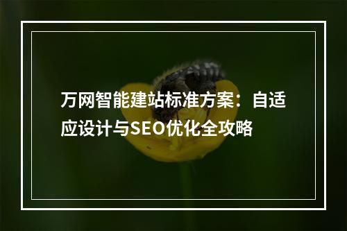 万网智能建站标准方案：自适应设计与SEO优化全攻略