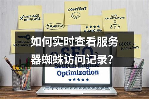 如何实时查看服务器蜘蛛访问记录？