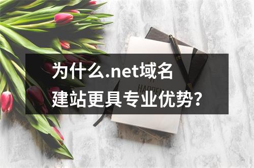 为什么.net域名建站更具专业优势？