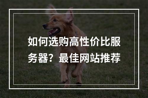如何选购高性价比服务器？最佳网站推荐
