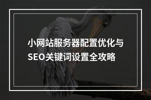小网站服务器配置优化与SEO关键词设置全攻略