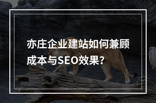 亦庄企业建站如何兼顾成本与SEO效果？