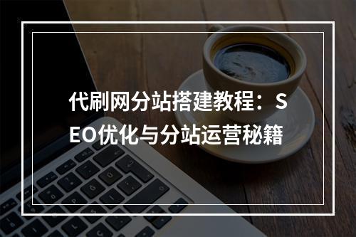 代刷网分站搭建教程：SEO优化与分站运营秘籍