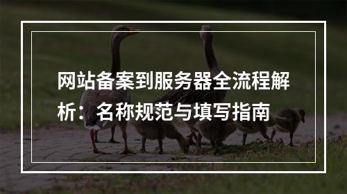 网站备案到服务器全流程解析：名称规范与填写指南