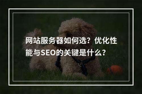 网站服务器如何选？优化性能与SEO的关键是什么？