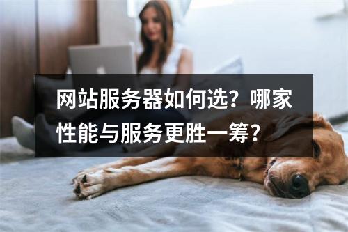 网站服务器如何选？哪家性能与服务更胜一筹？