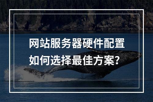 网站服务器硬件配置如何选择最佳方案？