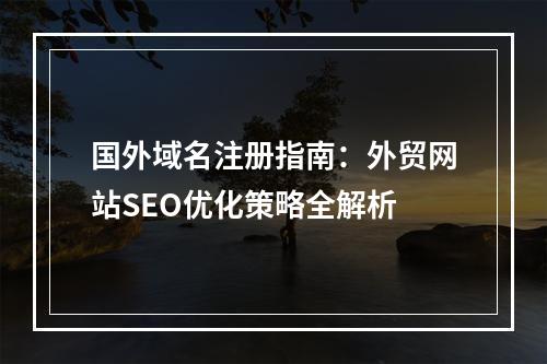 国外域名注册指南：外贸网站SEO优化策略全解析