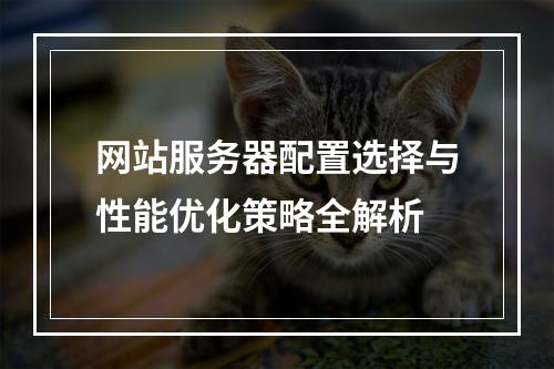 网站服务器配置选择与性能优化策略全解析