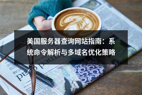 美国服务器查询网站指南：系统命令解析与多域名优化策略