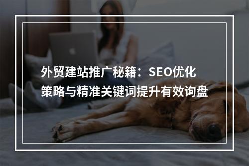 外贸建站推广秘籍：SEO优化策略与精准关键词提升有效询盘