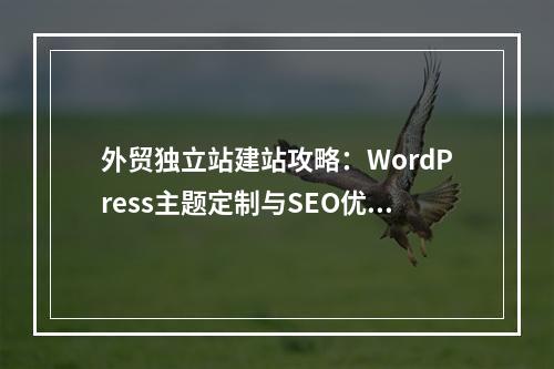外贸独立站建站攻略：WordPress主题定制与SEO优化指南