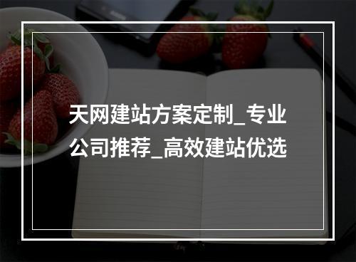 天网建站方案定制_专业公司推荐_高效建站优选