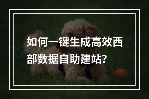 如何一键生成高效西部数据自助建站？