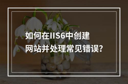 如何在IIS6中创建网站并处理常见错误？