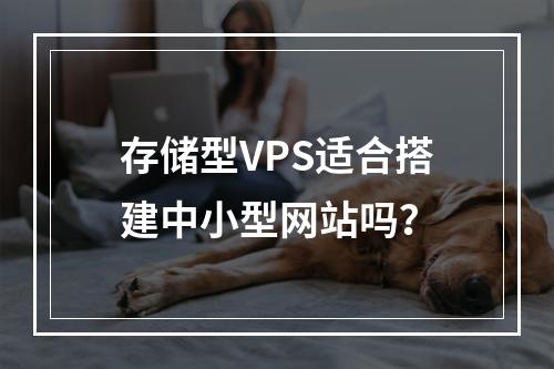 存储型VPS适合搭建中小型网站吗？