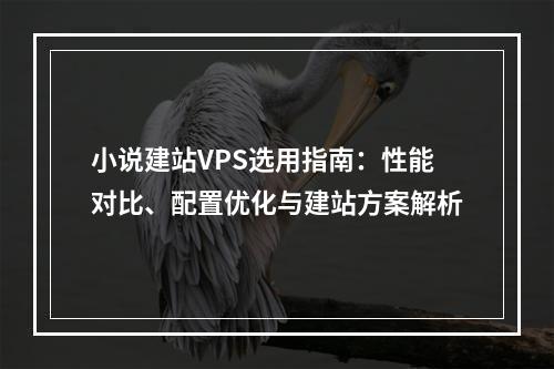 小说建站VPS选用指南：性能对比、配置优化与建站方案解析