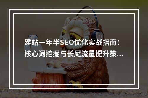 建站一年半SEO优化实战指南：核心词挖掘与长尾流量提升策略