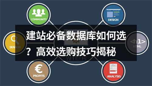 建站必备数据库如何选？高效选购技巧揭秘