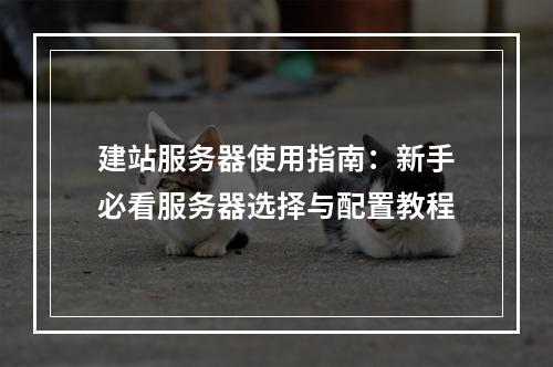 建站服务器使用指南：新手必看服务器选择与配置教程