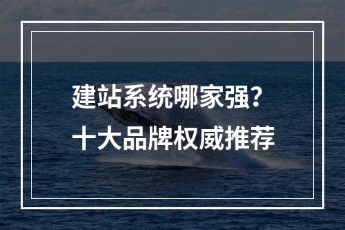 建站系统哪家强？十大品牌权威推荐