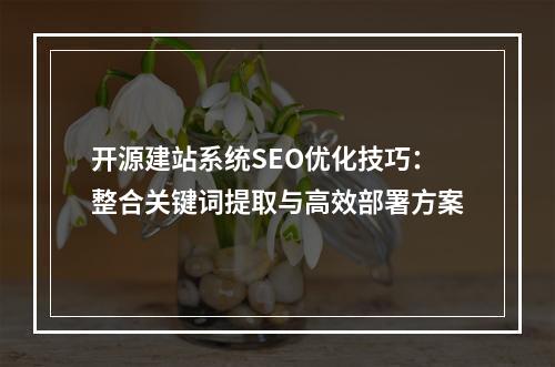 开源建站系统SEO优化技巧：整合关键词提取与高效部署方案