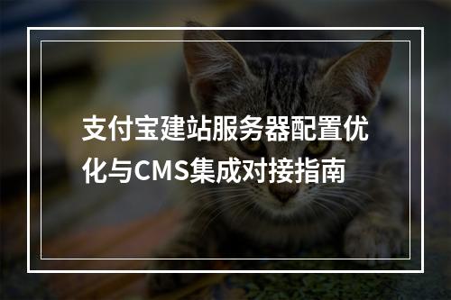 支付宝建站服务器配置优化与CMS集成对接指南
