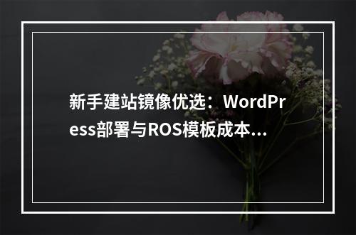 新手建站镜像优选：WordPress部署与ROS模板成本解析