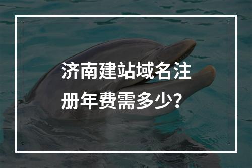济南建站域名注册年费需多少？