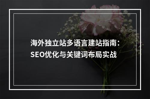 海外独立站多语言建站指南：SEO优化与关键词布局实战