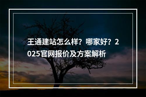 王通建站怎么样？哪家好？2025官网报价及方案解析