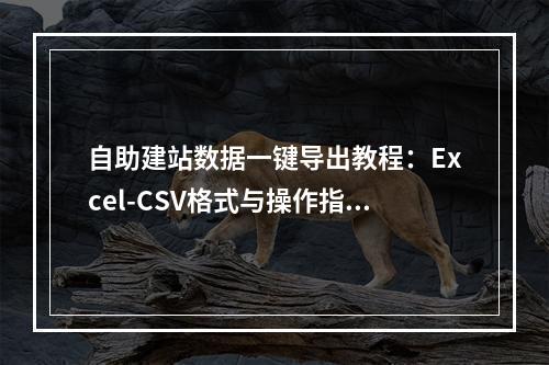 自助建站数据一键导出教程：Excel-CSV格式与操作指南
