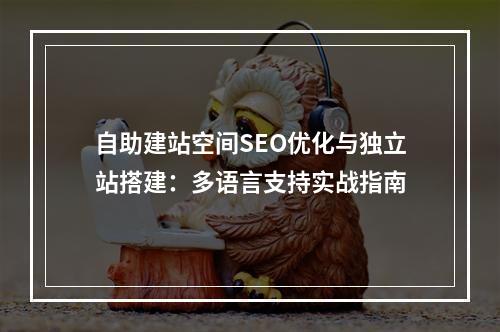 自助建站空间SEO优化与独立站搭建：多语言支持实战指南