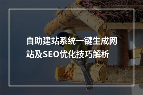 自助建站系统一键生成网站及SEO优化技巧解析